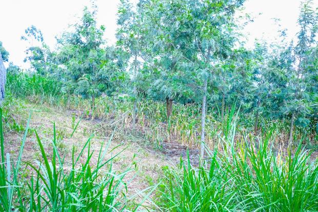 Prime 1/4-Acre Residential Plot for Sale Kikuyu, Thamanda - thumbnail 6