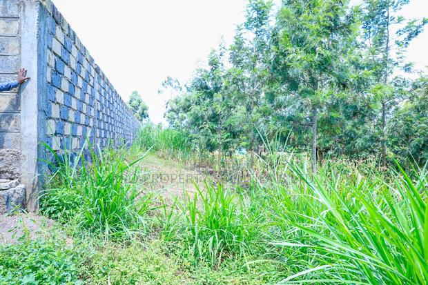 Prime 1/4-Acre Residential Plot for Sale Kikuyu, Thamanda - thumbnail 7