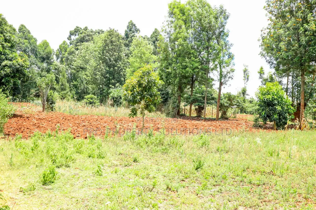 Prime Residential Plot for Sale Kikuyu, Gikambura