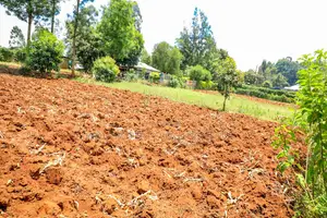 Prime Residential Plot for Sale Kikuyu, Gikambura