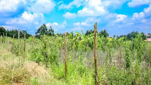 Prime 1/4 Acre Residential Plot for Sale Kikuyu, Kamangu