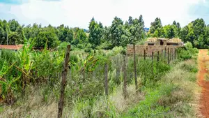 Prime 1/4 Acre Residential Plot for Sale Kikuyu, Kamangu