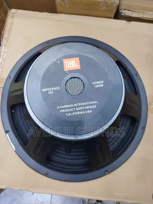 JBL Naked Speaker 15inch
