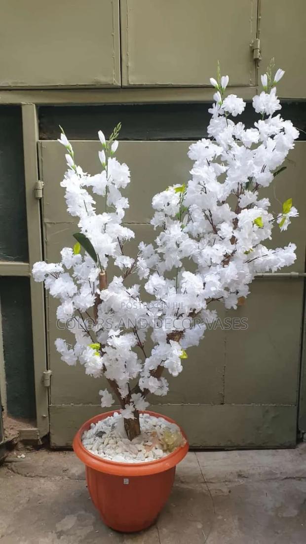 1m Blossom Tree Available on Order