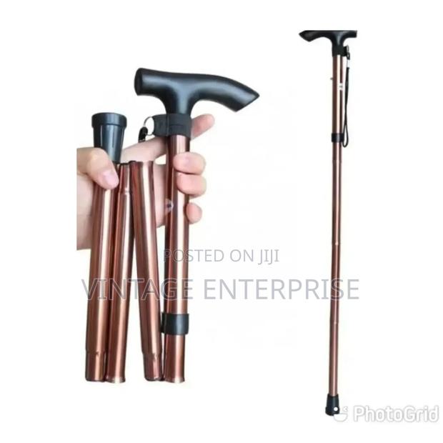 Foldable Walking Stick - main view