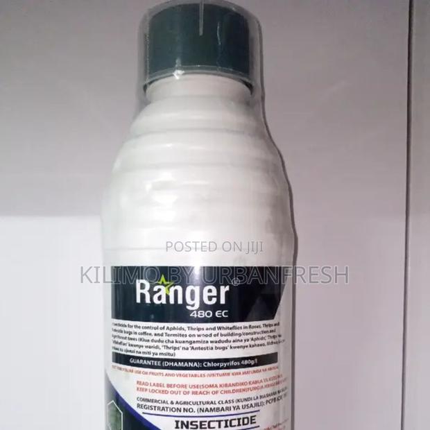Ranger 480EC Insecticide 100ml