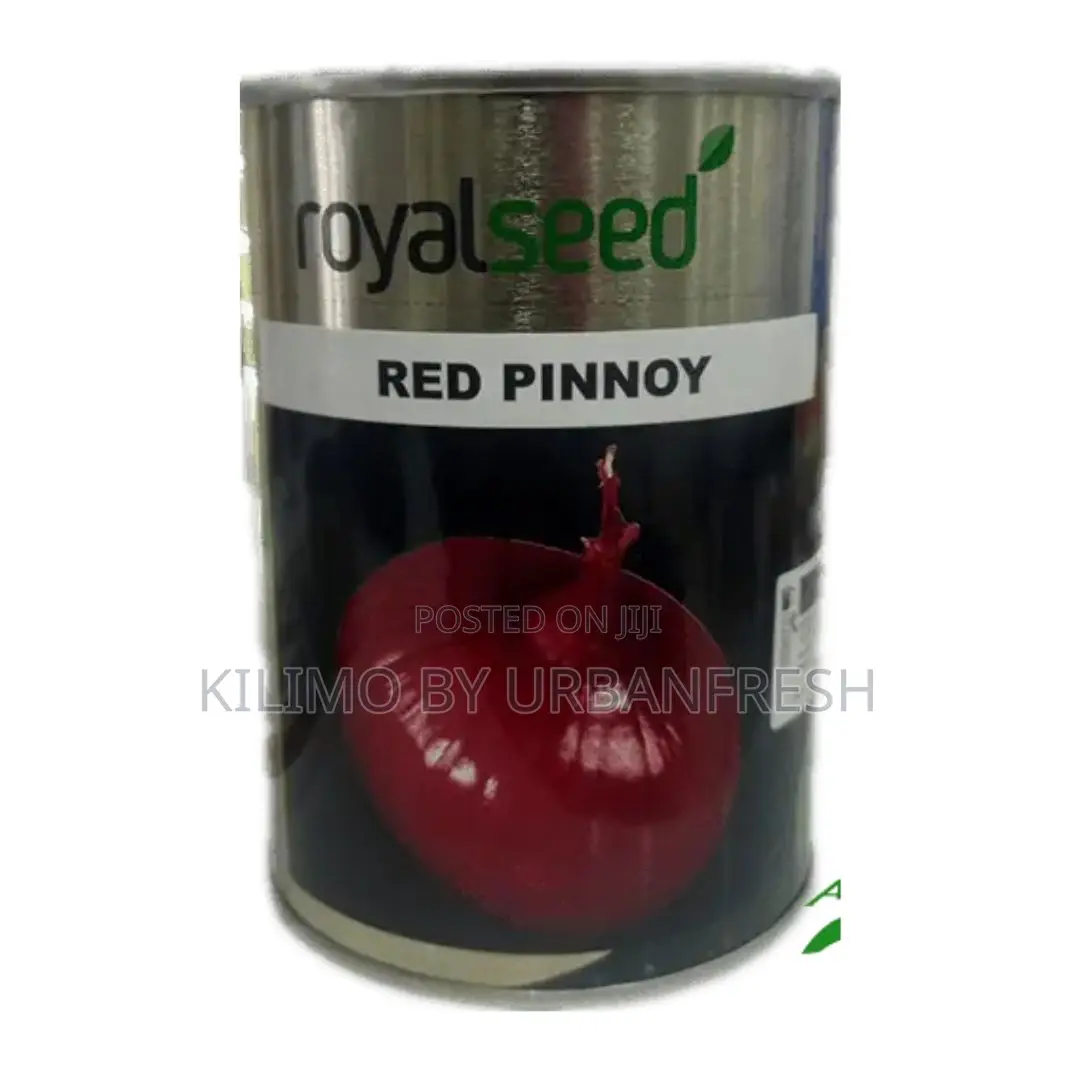 Red Pinoy Onion Seeds (500g)