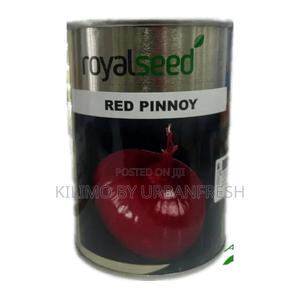 Red Pinoy Onion Seeds (500g) - main view