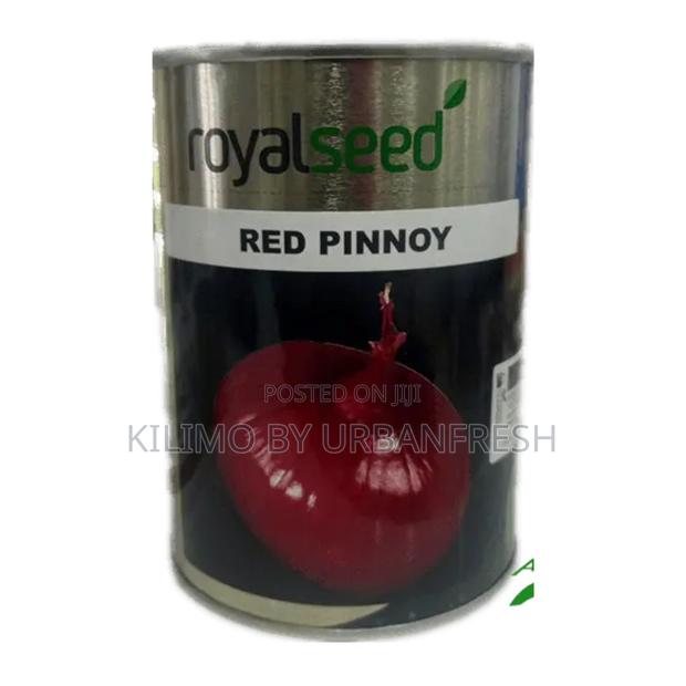 Red Pinoy Onion Seeds (500g)