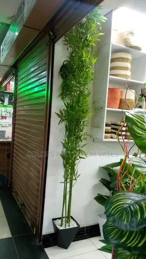 Bamboo Artificial Sticks 7feet Long KSH 600 Per Piece