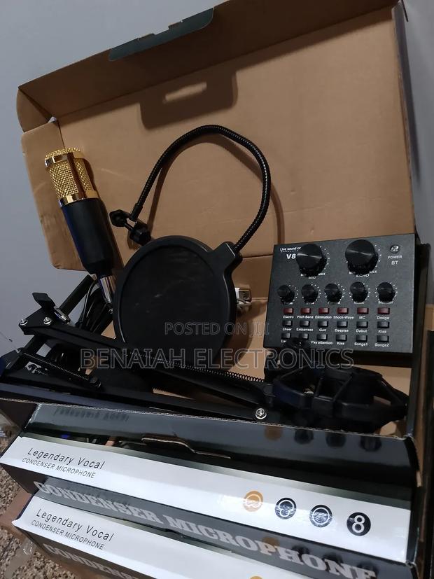 Professional Condenser Microphone for Professional Recording - thumbnail 2