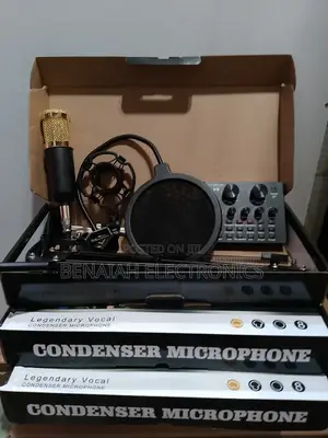 Professional Condenser Microphone for Professional Recording