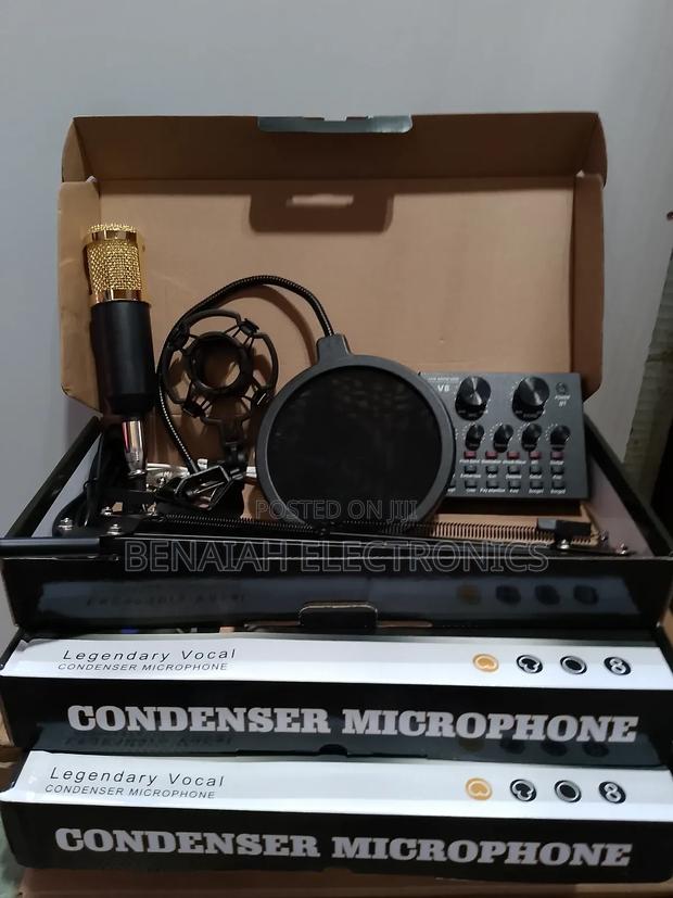 Professional Condenser Microphone for Professional Recording