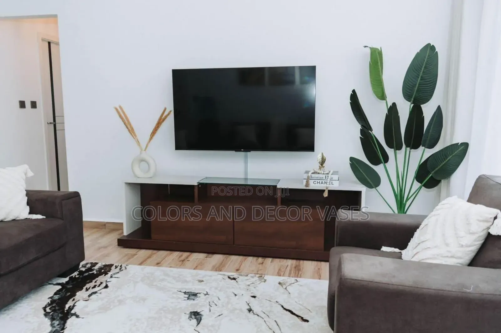 Banana Plant for Home Decor