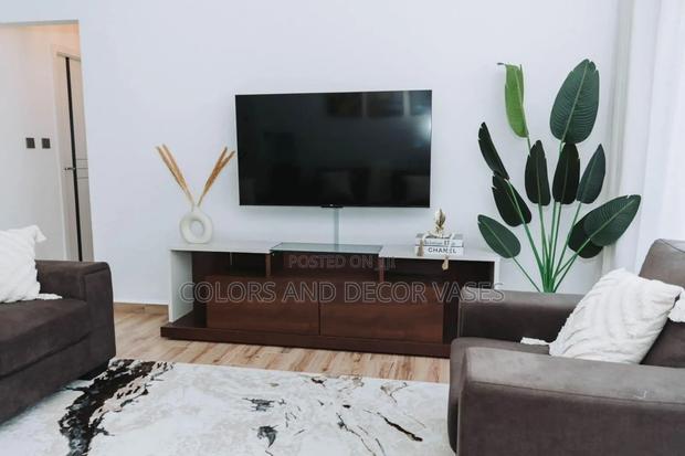 Banana Plant for Home Decor