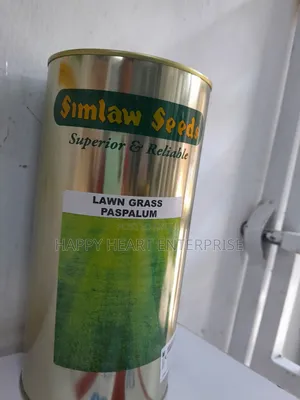Paspalum Lawn Grass 500G