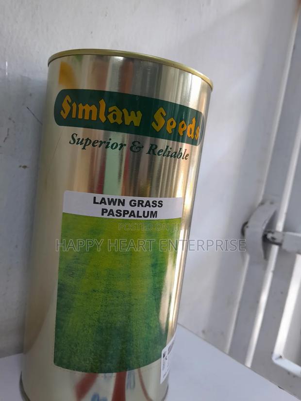 Paspalum Lawn Grass 500G - thumbnail 2