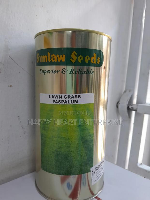 Paspalum Lawn Grass 500G - main view