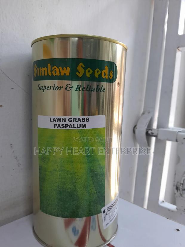 Paspalum Lawn Grass 500G - thumbnail 3