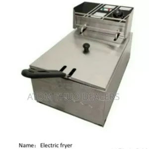 New Electric Deepfyer EF81B