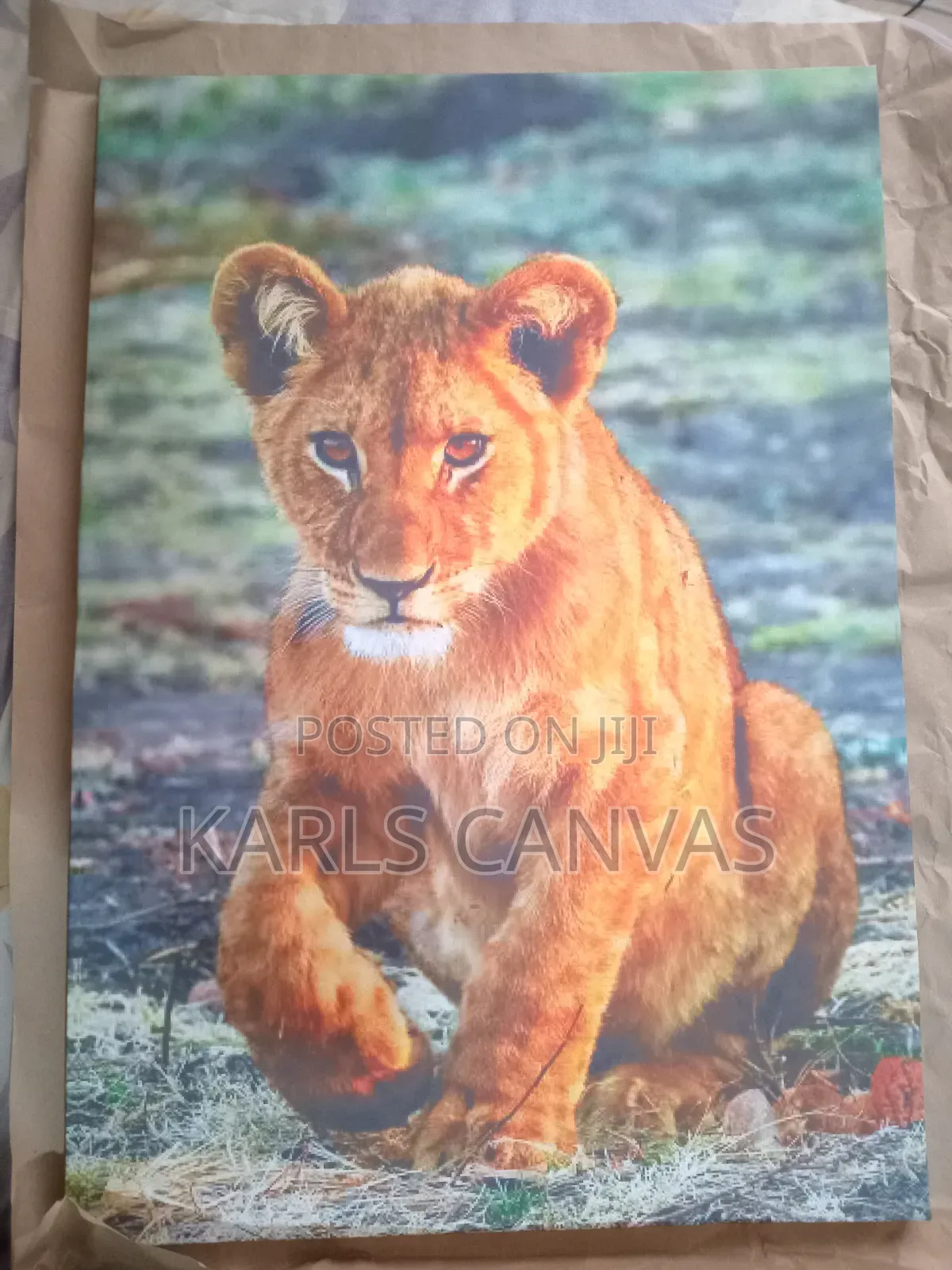 Custom Canvas Arts