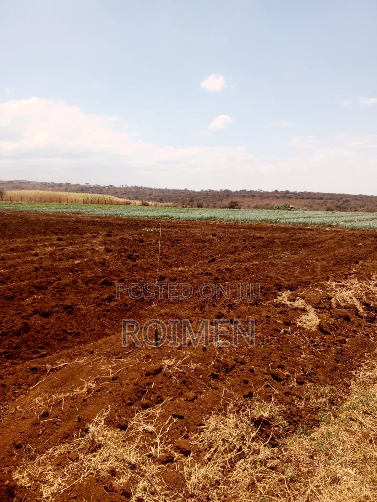 6 Acres,5 Km From the Tarmac