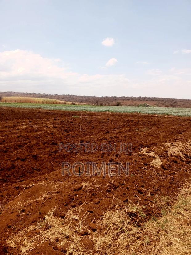 6 Acres,5 Km From the Tarmac - thumbnail 2