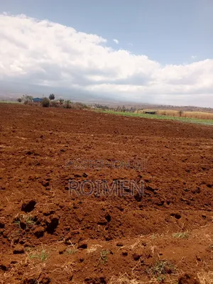 6 Acres,5 Km From the Tarmac