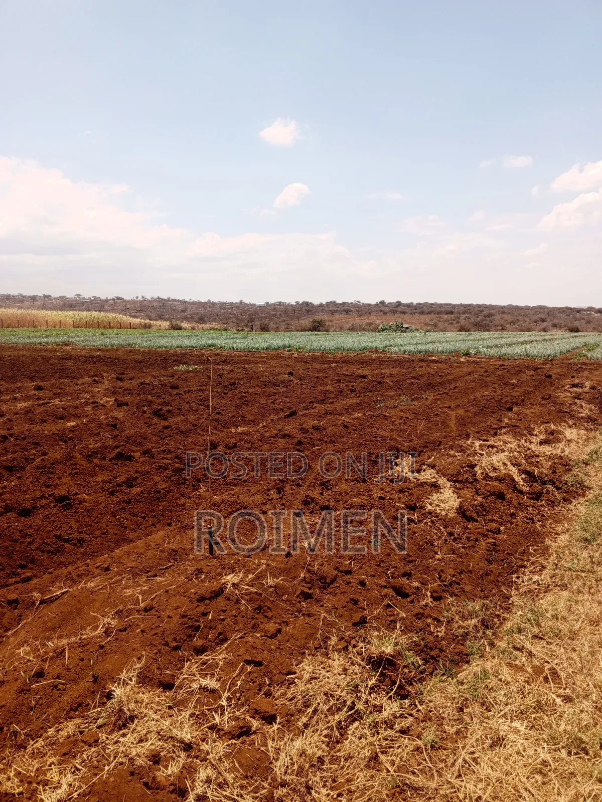 6 Acres,5 Km From the Tarmac