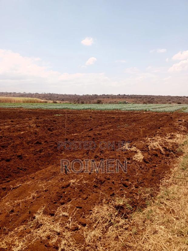 6 Acres,5 Km From the Tarmac - thumbnail 4