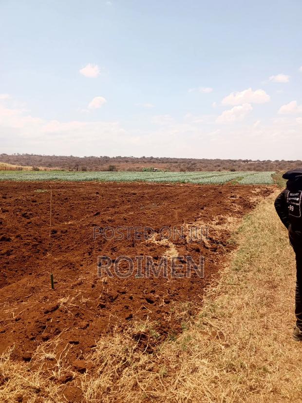6 Acres,5 Km From the Tarmac - thumbnail 5