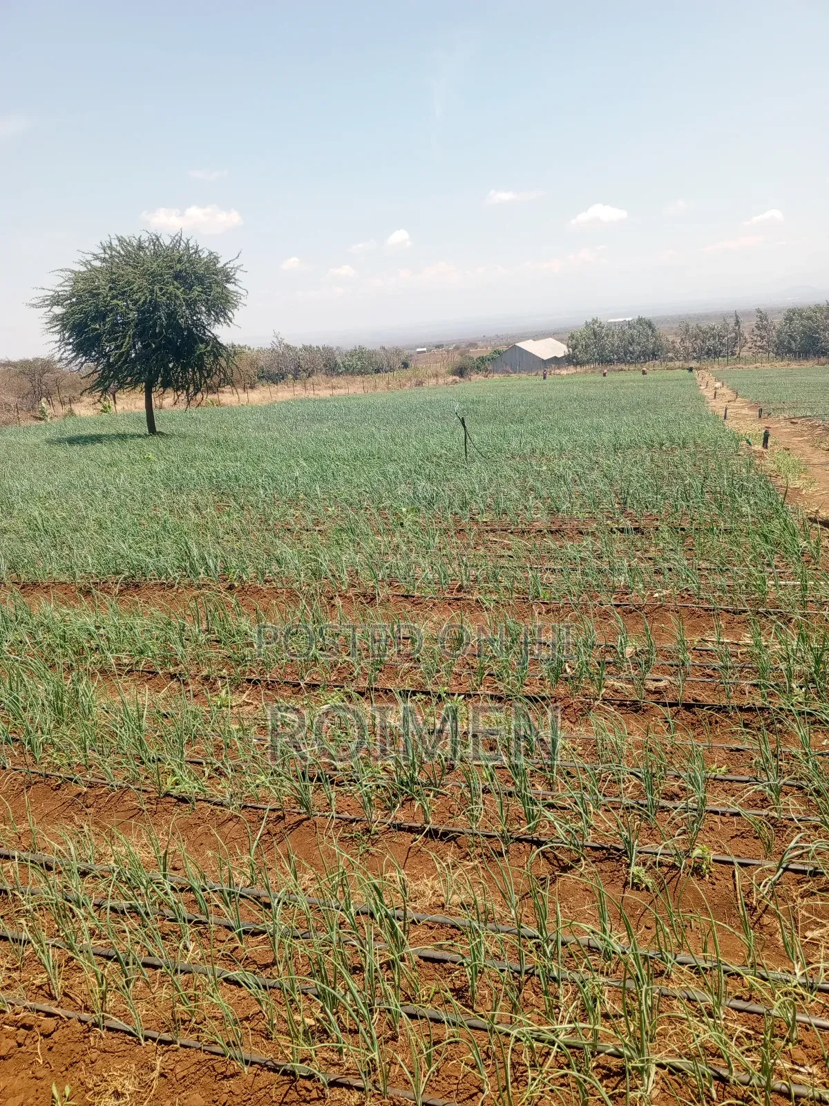 6 Acres,5 Km From the Tarmac