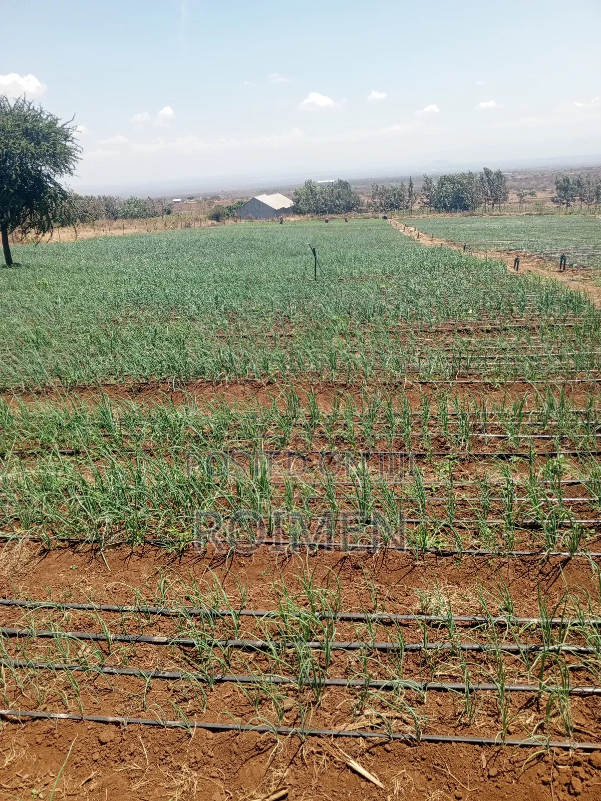 6 Acres,5 Km From the Tarmac