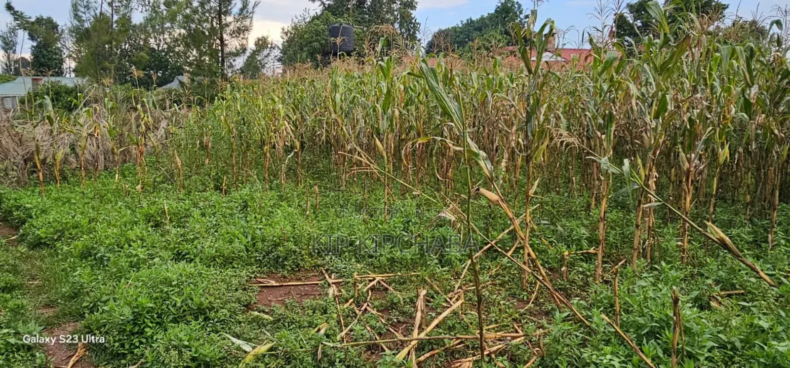 Plot For Sale In Racecours, Eldoret City