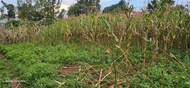 Plot For Sale In Racecours, Eldoret City - thumbnail 5