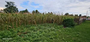 Plot For Sale In Racecours, Eldoret City