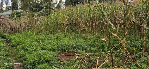 Plot For Sale In Racecours, Eldoret City - thumbnail 7