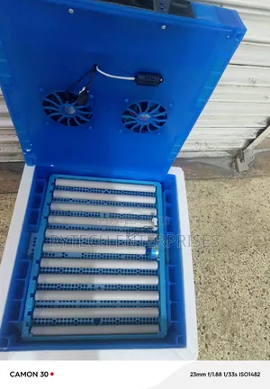 Eggs Incubator/64 Eggs Incubator Machine