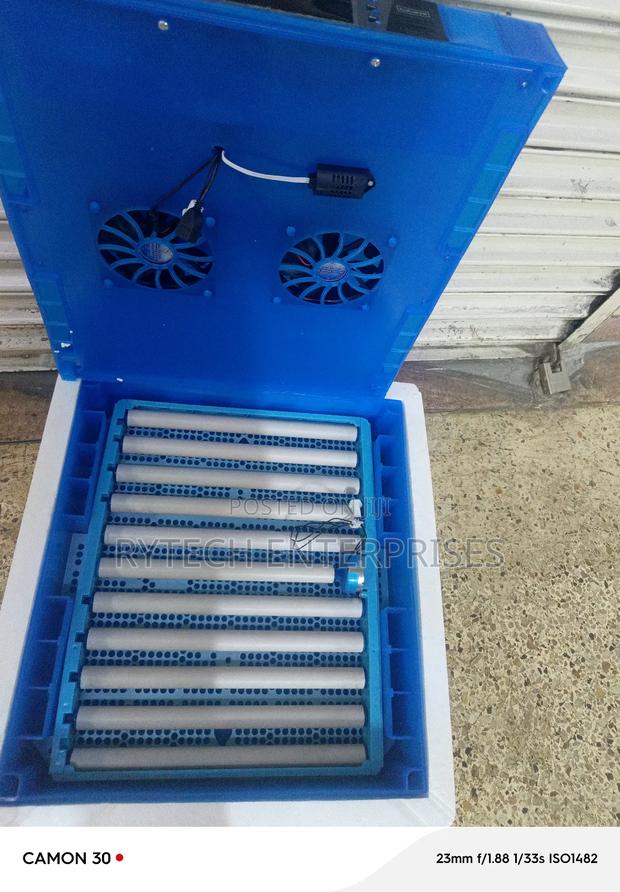 Eggs Incubator/64 Eggs Incubator Machine