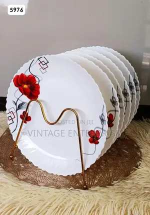 Dinner Plates, 6pcs Dinner Plates