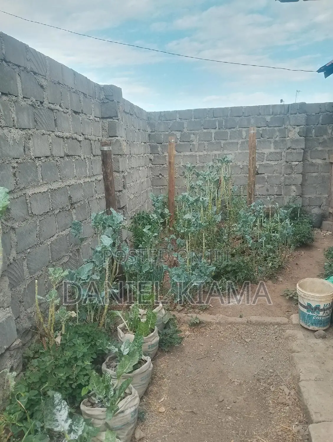3bdrm Bungalow In Kisii Estate For Sale