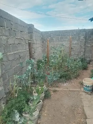 3bdrm Bungalow In Kisii Estate For Sale