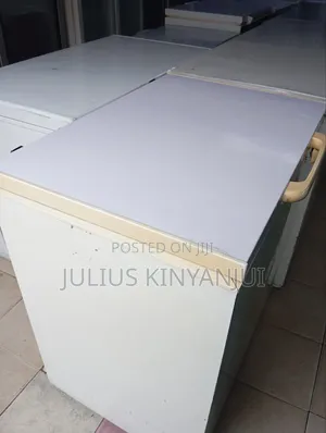 Deep Freezer 250L
