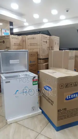 Ecomax 119l Deep Freezer