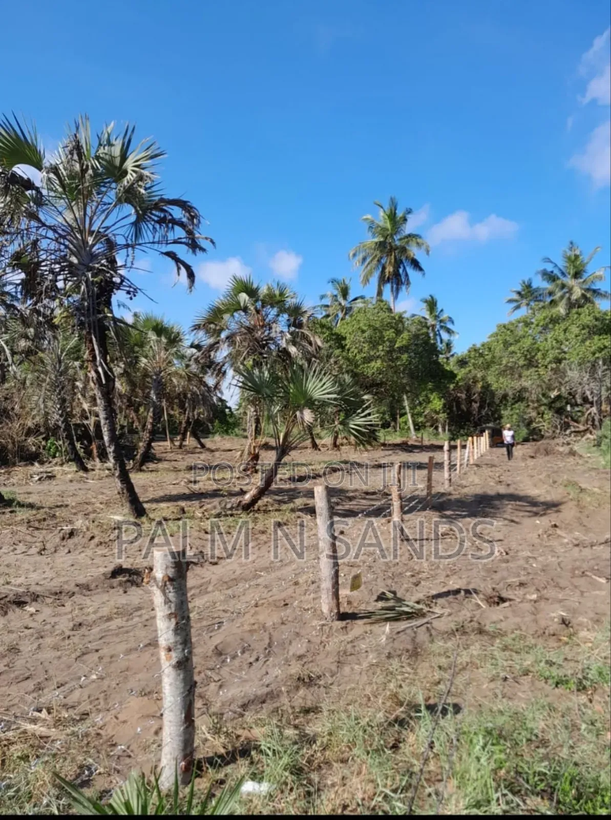 Mwabungo Half Acre Land on Sale!!