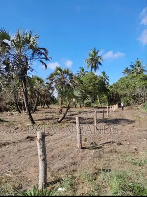 Mwabungo Half Acre Land on Sale!!