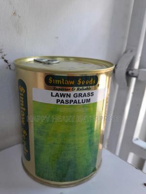 Lawn Grass Paspalum 250G - thumbnail 2