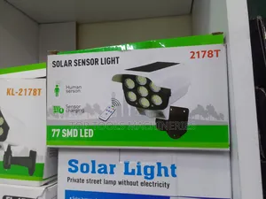 Solar Light Pump CCTV Type