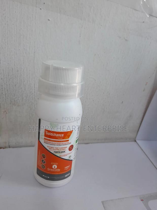 Gold Chance Fruit and Flower 100ml - main view