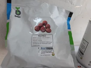 Red Nice F1 Hybrid Onion 50,000 Seeds (250G)